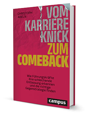 Buchkonzept & Ghostwriting Sachbuch 49 Vom karriereknick zum comeback